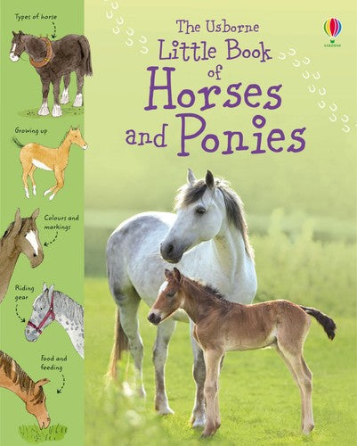 Little Book Of Horses & Ponies