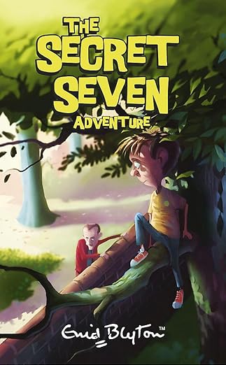enid blyton the secret seven adventure