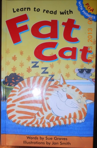 Learn to read with Fat Cat (Fun with Phonics)
