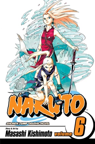 Naruto, Vol. 6: Predator