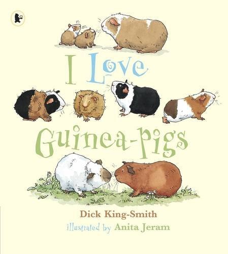 I Love Guinea-pigs