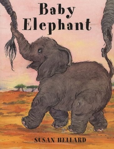 Baby Elephant