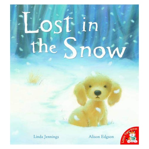 Lost in the Snow