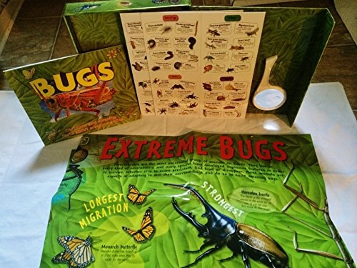 Bugs Kit with Poster, ID Cards and Fun Fact Book