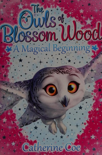 Owls Of Blossom Wood 1 Magical Beginning