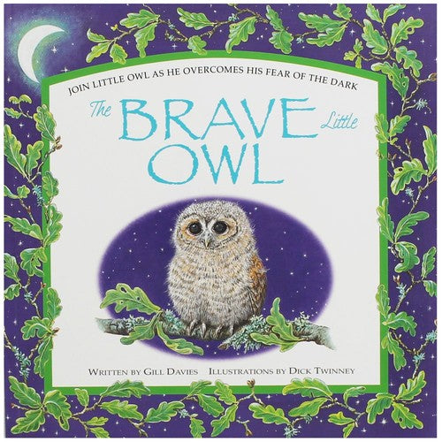 Brave Little Owl