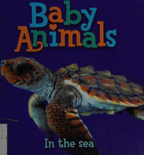 Baby Animals In the Sea
