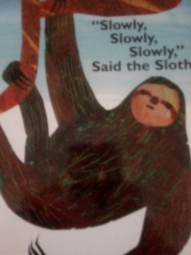 "Slowly, Slowly, Slowly", Said the Sloth