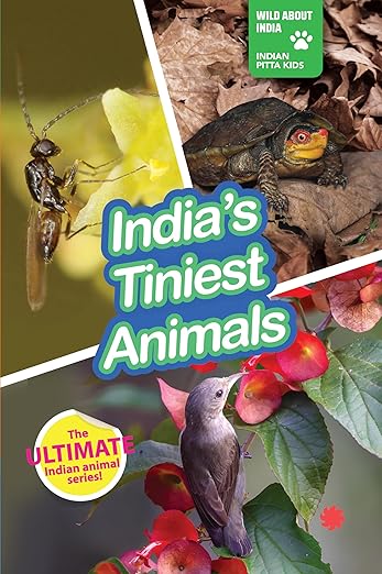 INDIA’S TINIEST ANIMALS