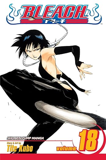 Bleach 18