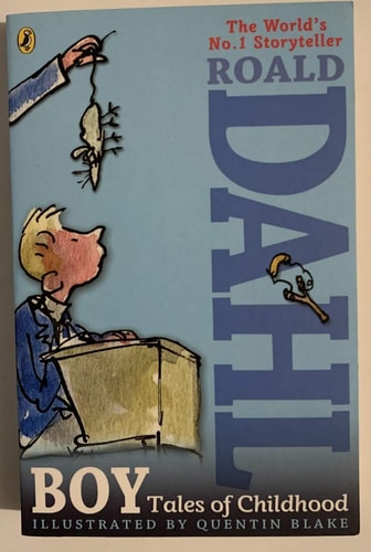 Roald Dahl Boy Tales Of Childhood