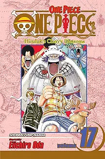 One Piece 17