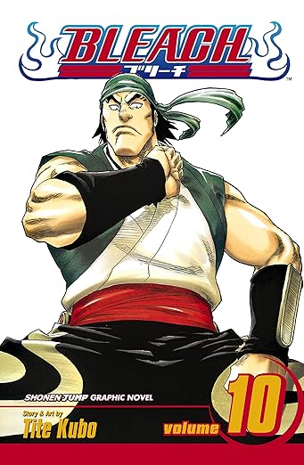 Bleach 10