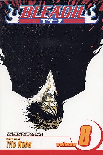 Bleach 08