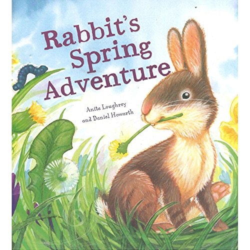 Rabbits Spring Adventure